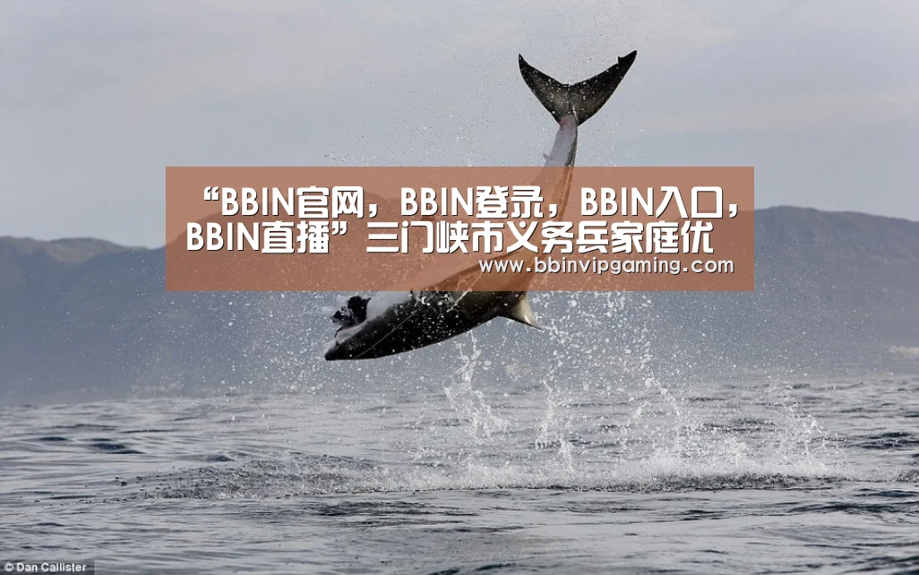 “BBIN官网,BBIN登录,BBIN入口,BBIN直播”三门峡市义务兵家庭优待金在豫鲁两省中名列前茅(图1) BBIN官网,BBIN登录,BBIN入口,BBIN直播