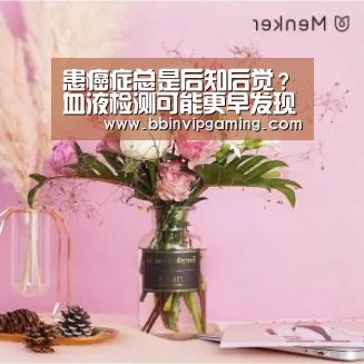 BBIN官网，BBIN登录，BBIN入口，BBIN直播