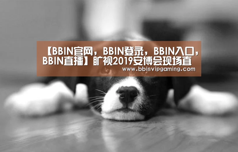 【BBIN官网,BBIN登录,BBIN入口,BBIN直播】旷视2019安博会现场直击旷视推出云、边、端协同的全栈解决方案打造城市物联网操作系统(图4) BBIN官网,BBIN登录,BBIN入口,BBIN直播
