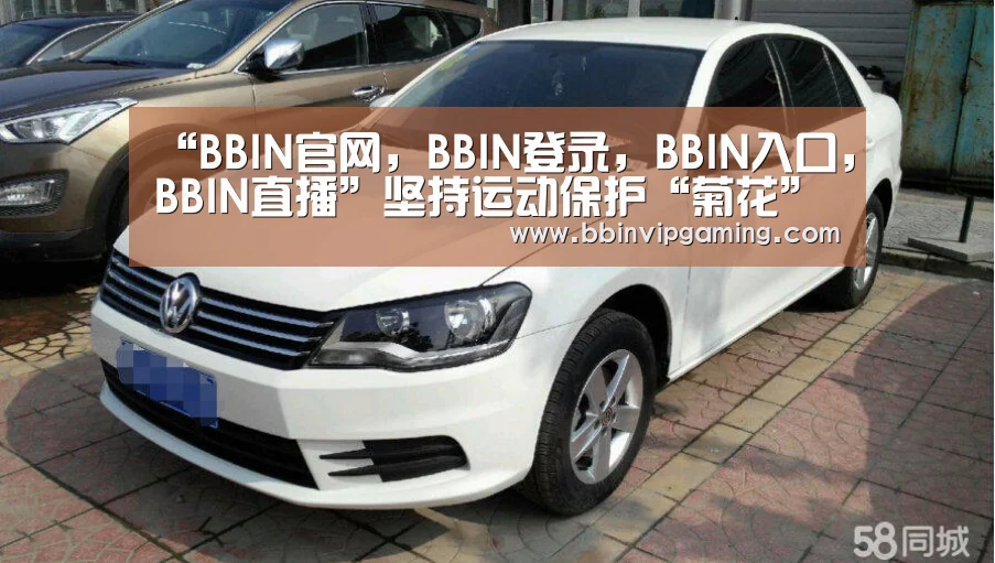 BBIN官网，BBIN登录，BBIN入口，BBIN直播