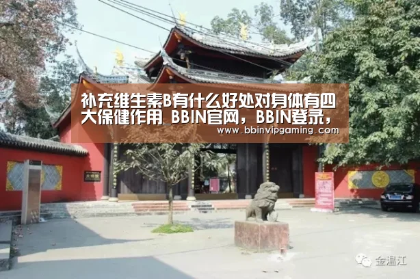 补充维生素B有什么好处对身体有四大保健作用_BBIN官网,BBIN登录,BBIN入口,BBIN直播(图3) BBIN官网,BBIN登录,BBIN入口,BBIN直播