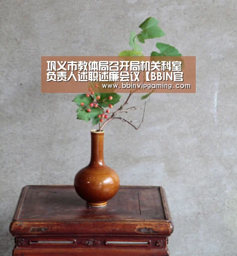BBIN官网，BBIN登录，BBIN入口，BBIN直播
