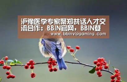 BBIN官网，BBIN登录，BBIN入口，BBIN直播