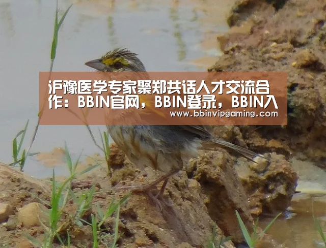 BBIN官网，BBIN登录，BBIN入口，BBIN直播