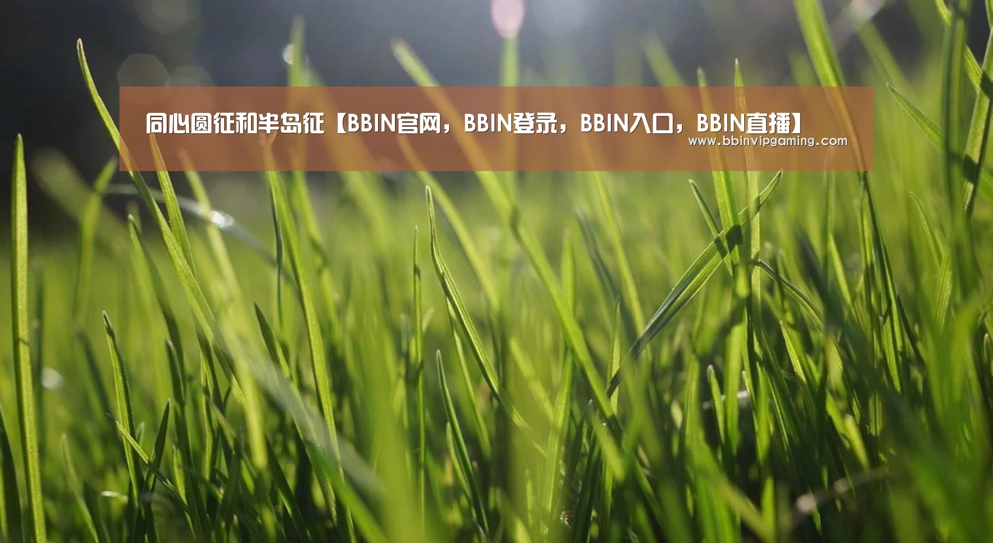BBIN官网，BBIN登录，BBIN入口，BBIN直播
