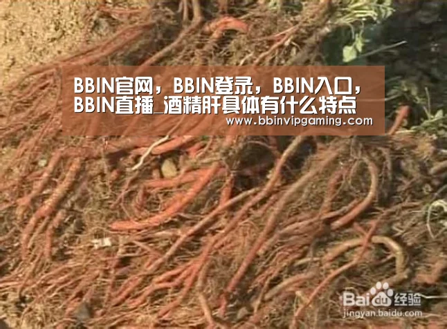 BBIN官网,BBIN登录,BBIN入口,BBIN直播_酒精肝具体有什么特点酒精肝患者吃什么好(图3) BBIN官网,BBIN登录,BBIN入口,BBIN直播