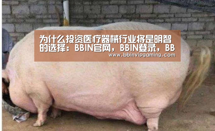 为什么投资医疗器械行业将是明智的选择:BBIN官网,BBIN登录,BBIN入口,BBIN直播(图1) BBIN官网,BBIN登录,BBIN入口,BBIN直播