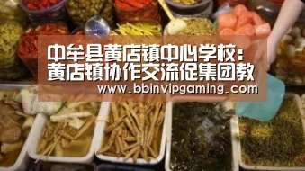 BBIN官网，BBIN登录，BBIN入口，BBIN直播
