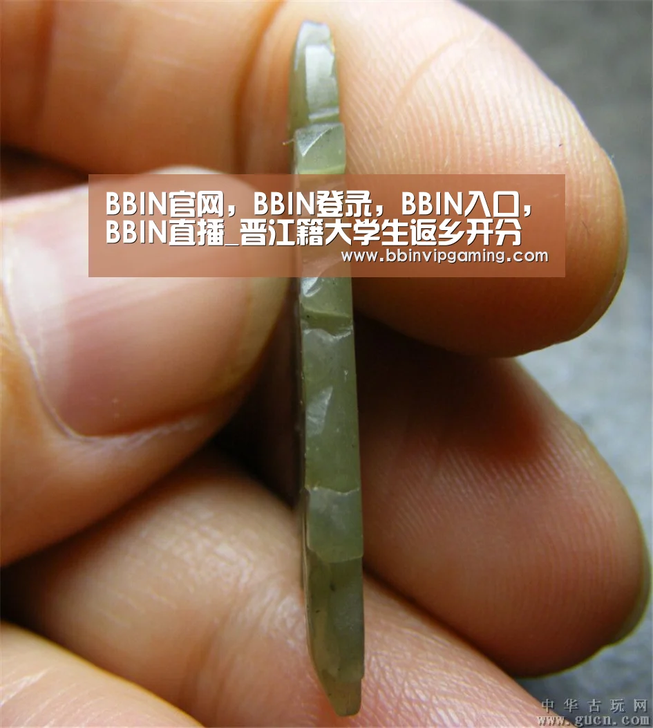 BBIN官网，BBIN登录，BBIN入口，BBIN直播