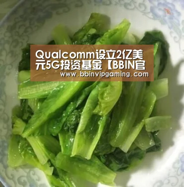 Qualcomm设立2亿美元5G投资基金【BBIN官网,BBIN登录,BBIN入口,BBIN直播】(图3) BBIN官网,BBIN登录,BBIN入口,BBIN直播