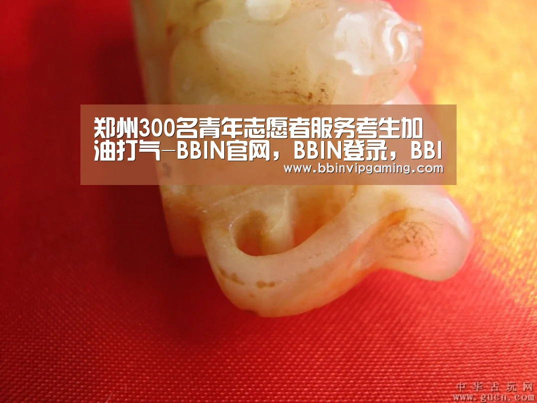 BBIN官网，BBIN登录，BBIN入口，BBIN直播